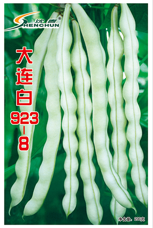 大连白923-8