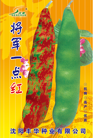 将军一点红