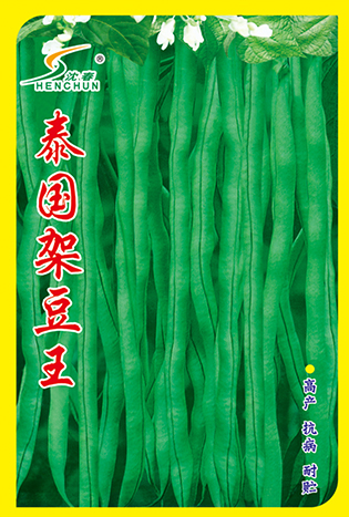 泰国架豆王