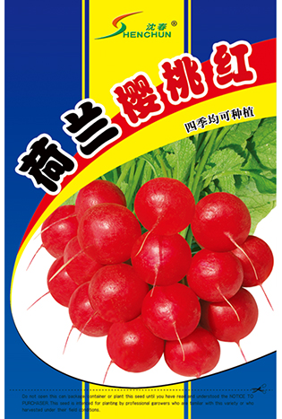 荷兰樱桃红