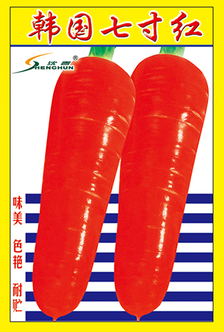 韩国七寸红
