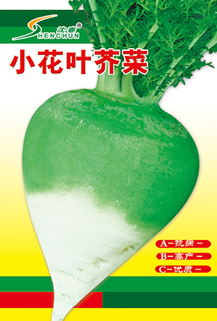 小花叶芥菜