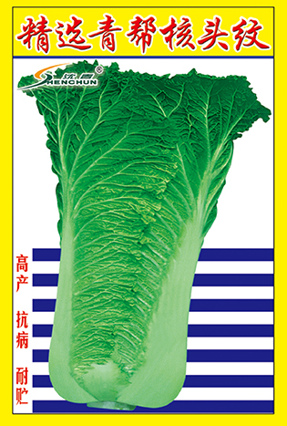 精选青帮核头纹