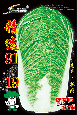 精选91-19